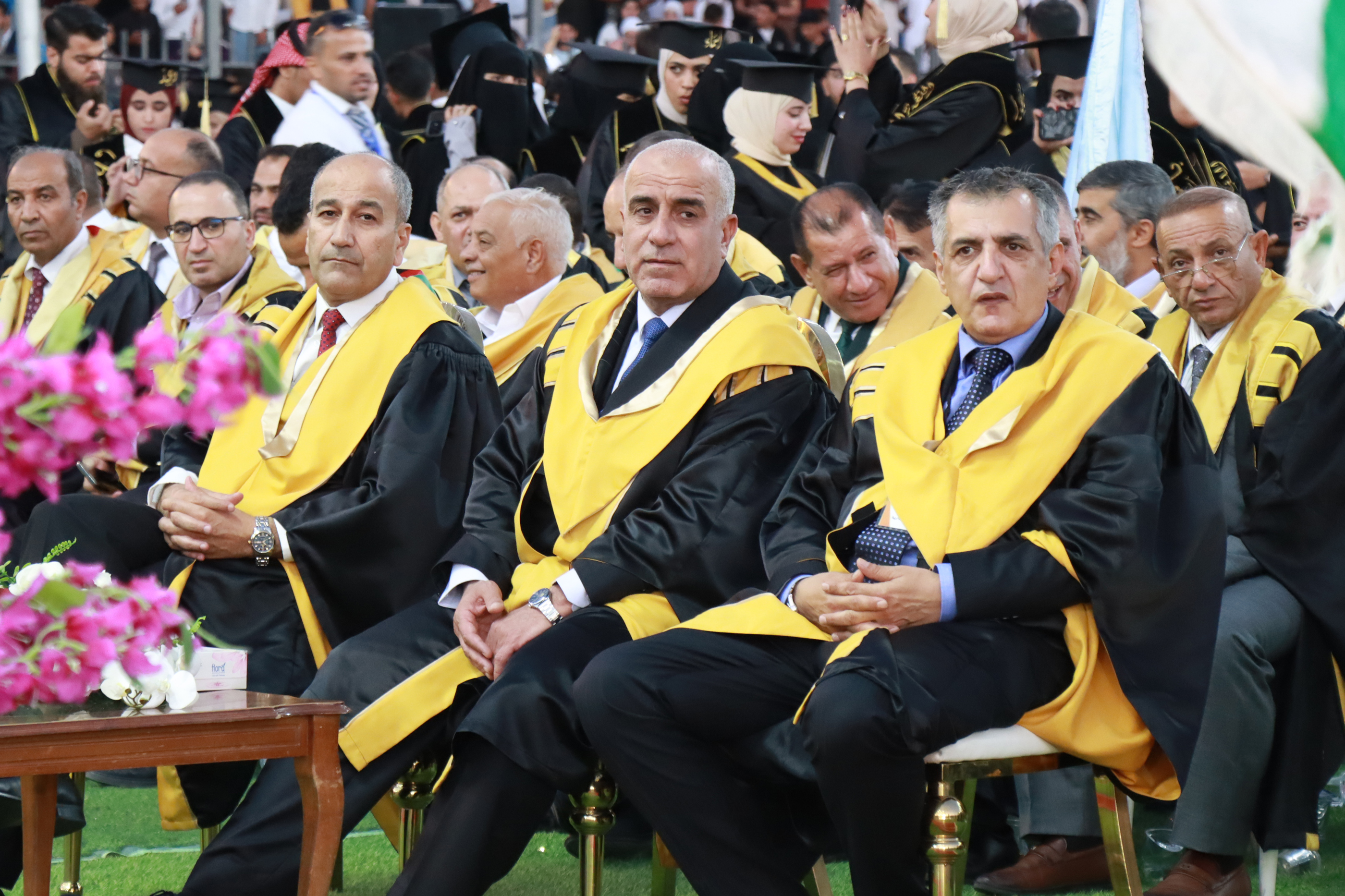 صورة 3