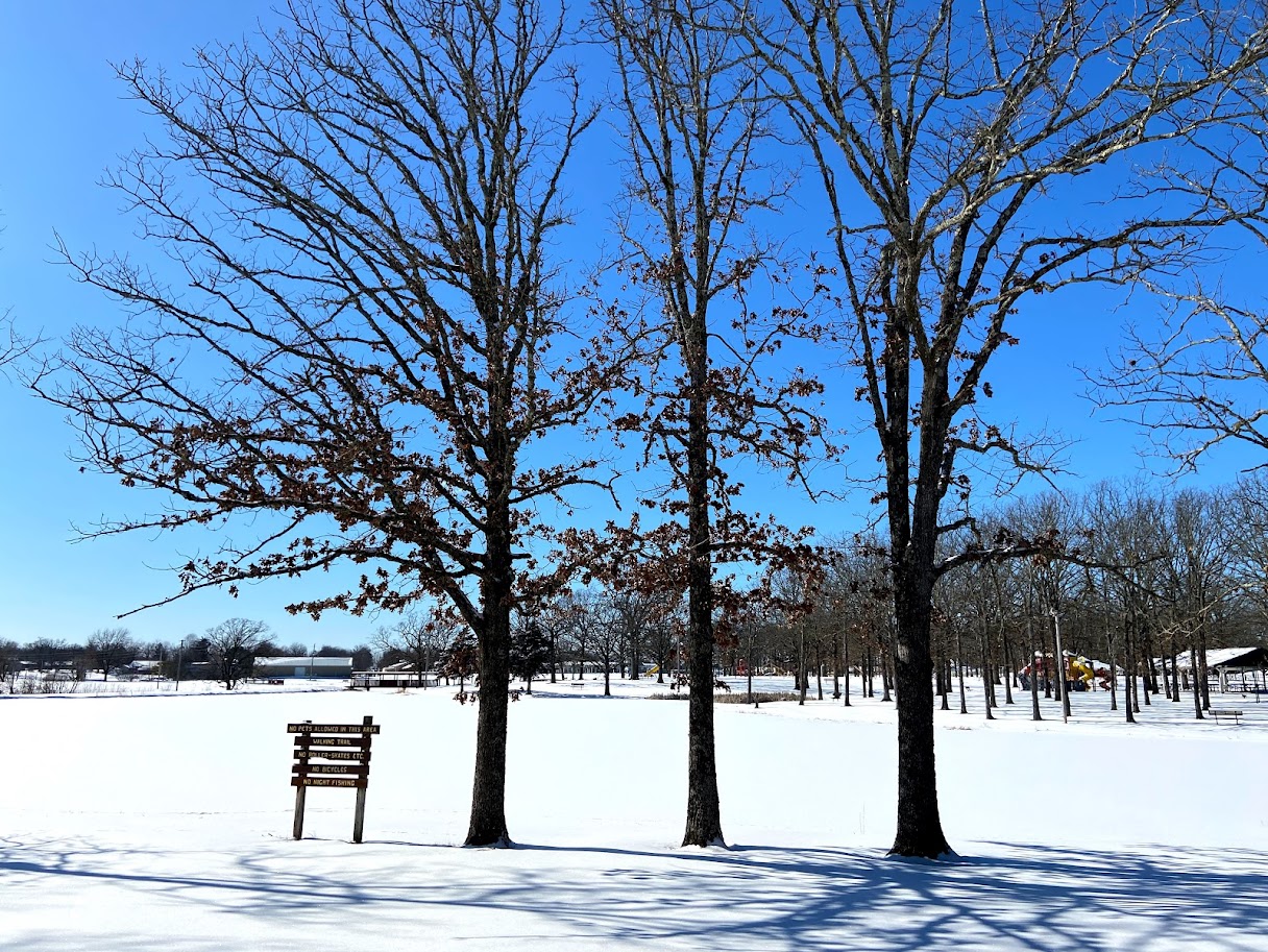 د.فرح وليد احمد ابو ذوابة