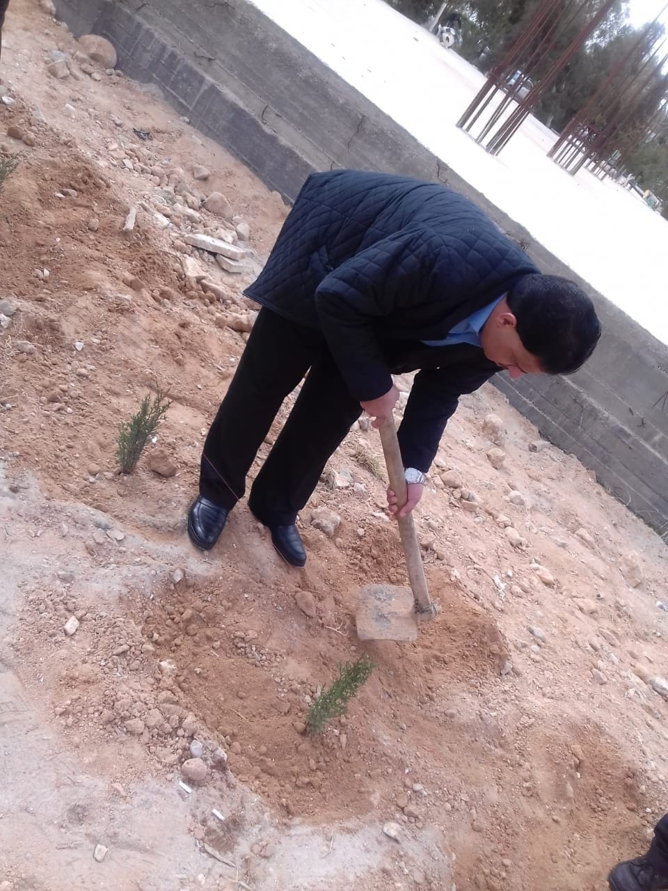 صورة 2