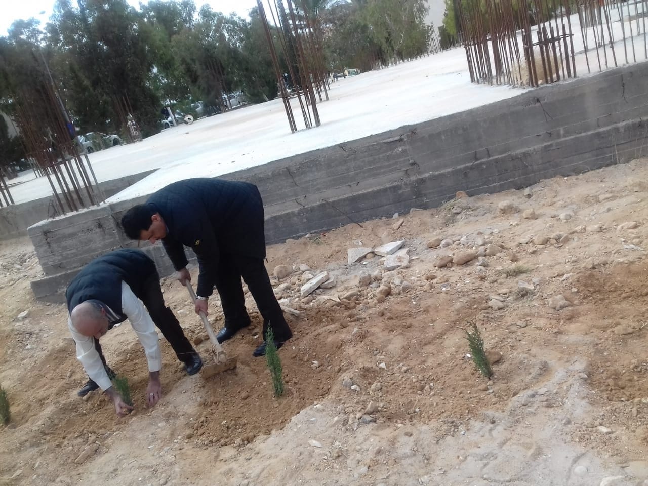 صورة 12