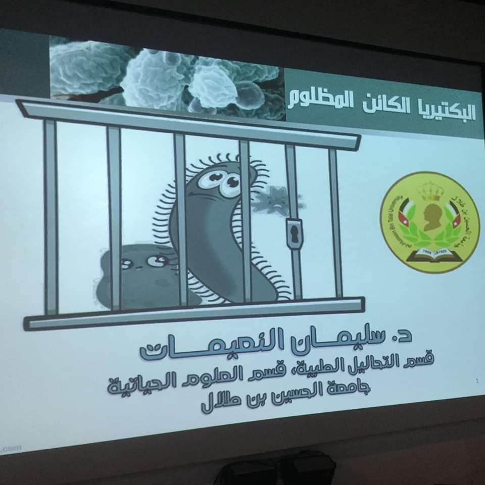 صورة 4