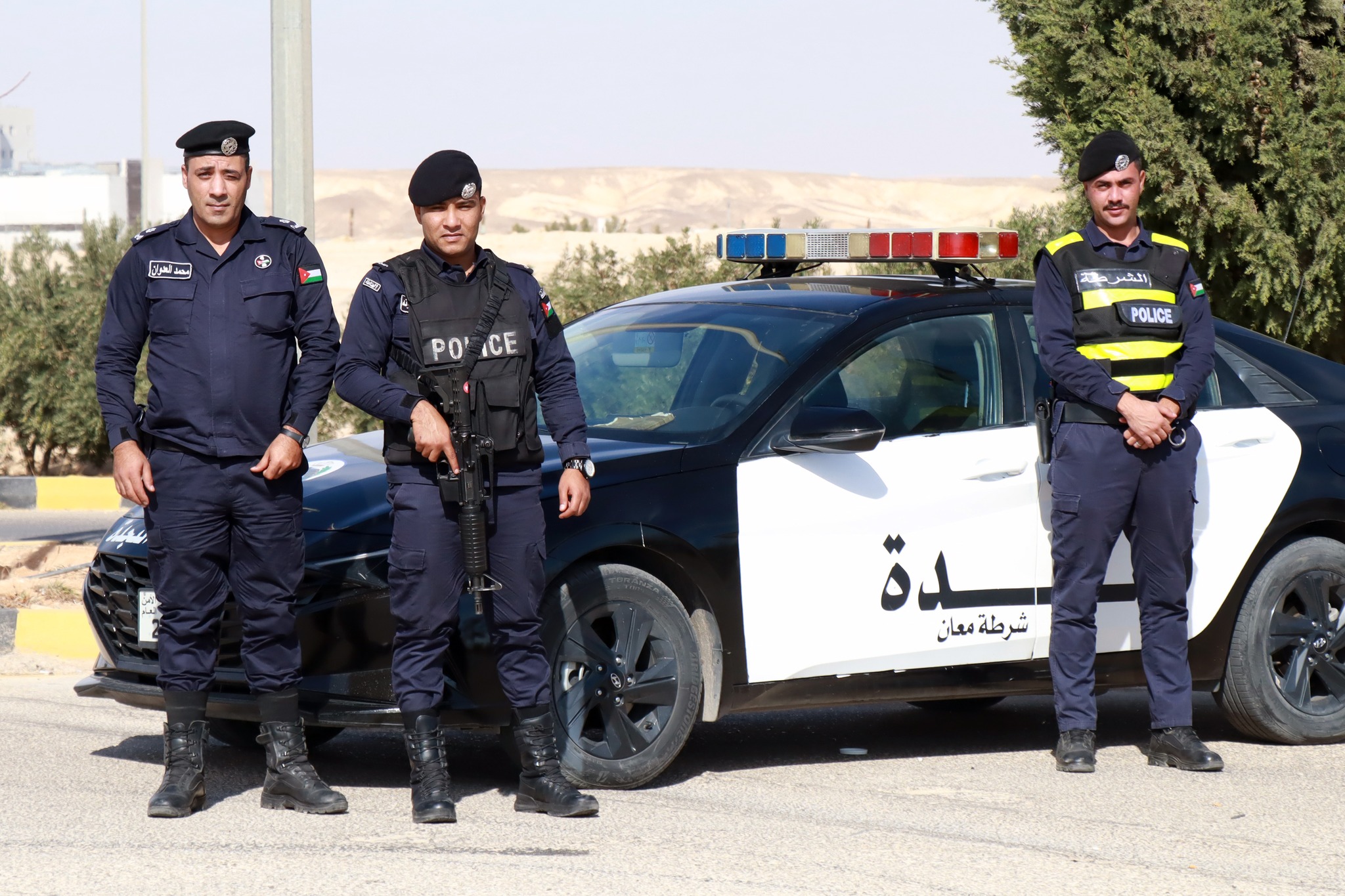 صورة 8