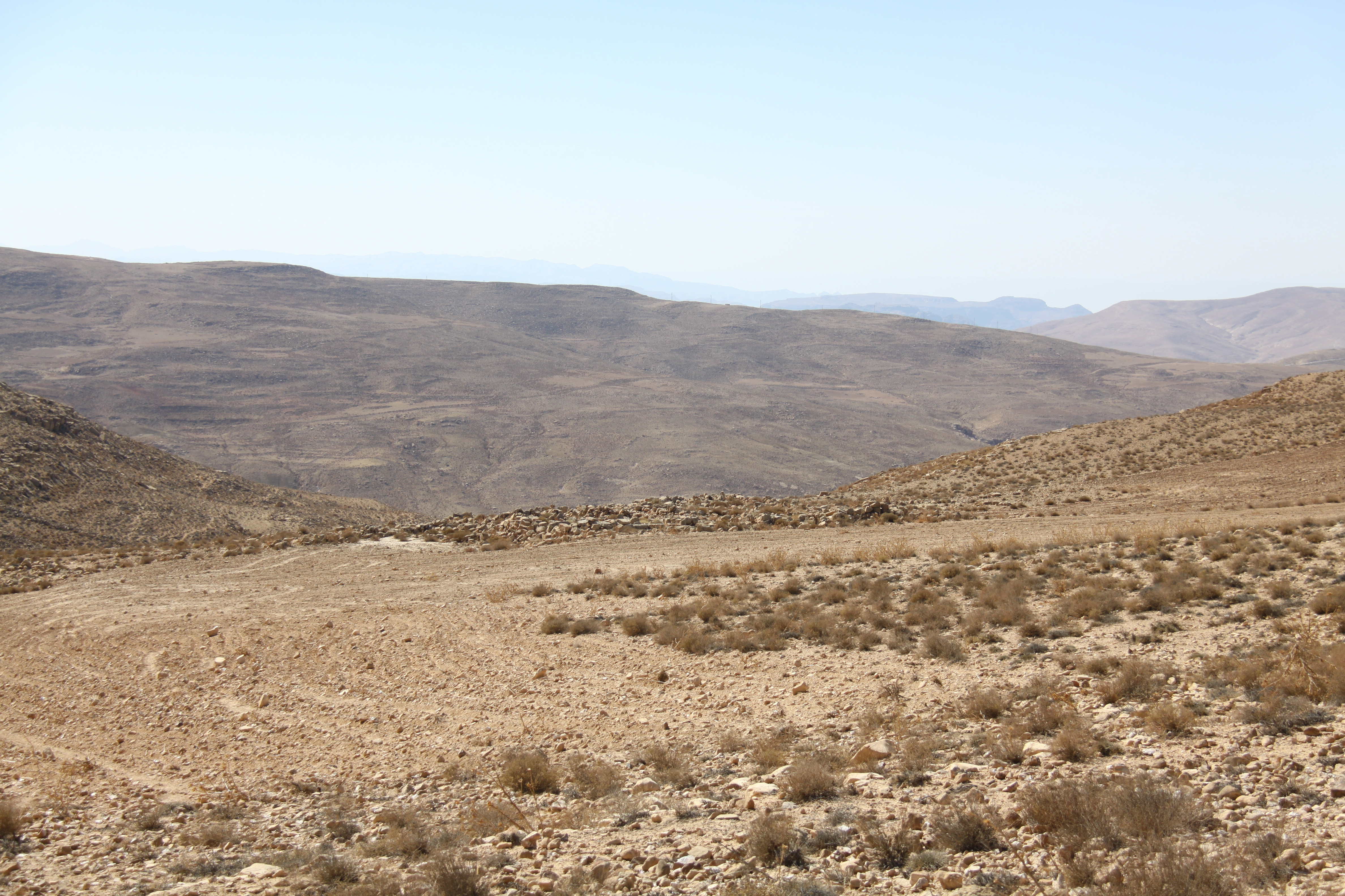 صورة 137