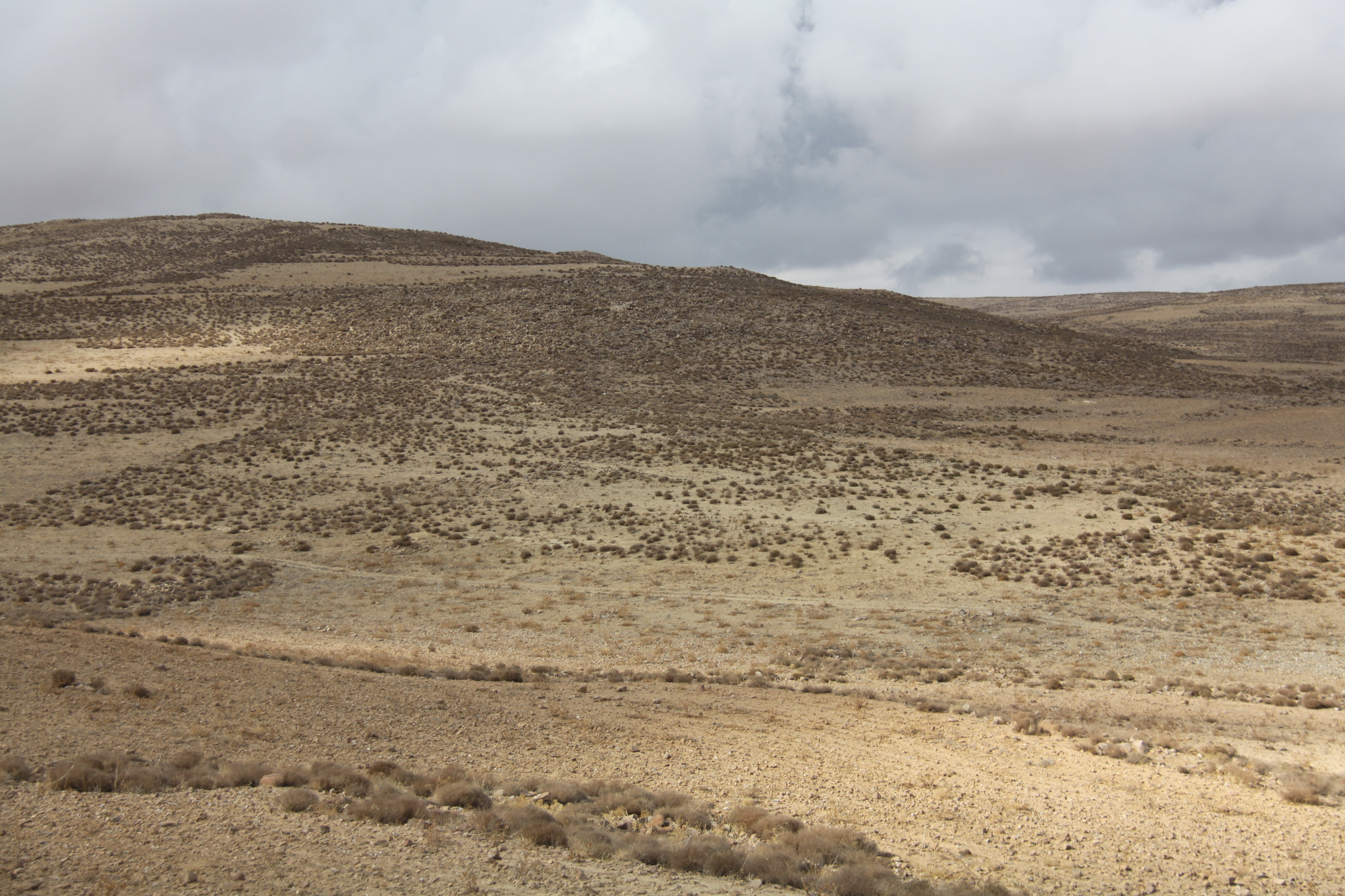 صورة 89