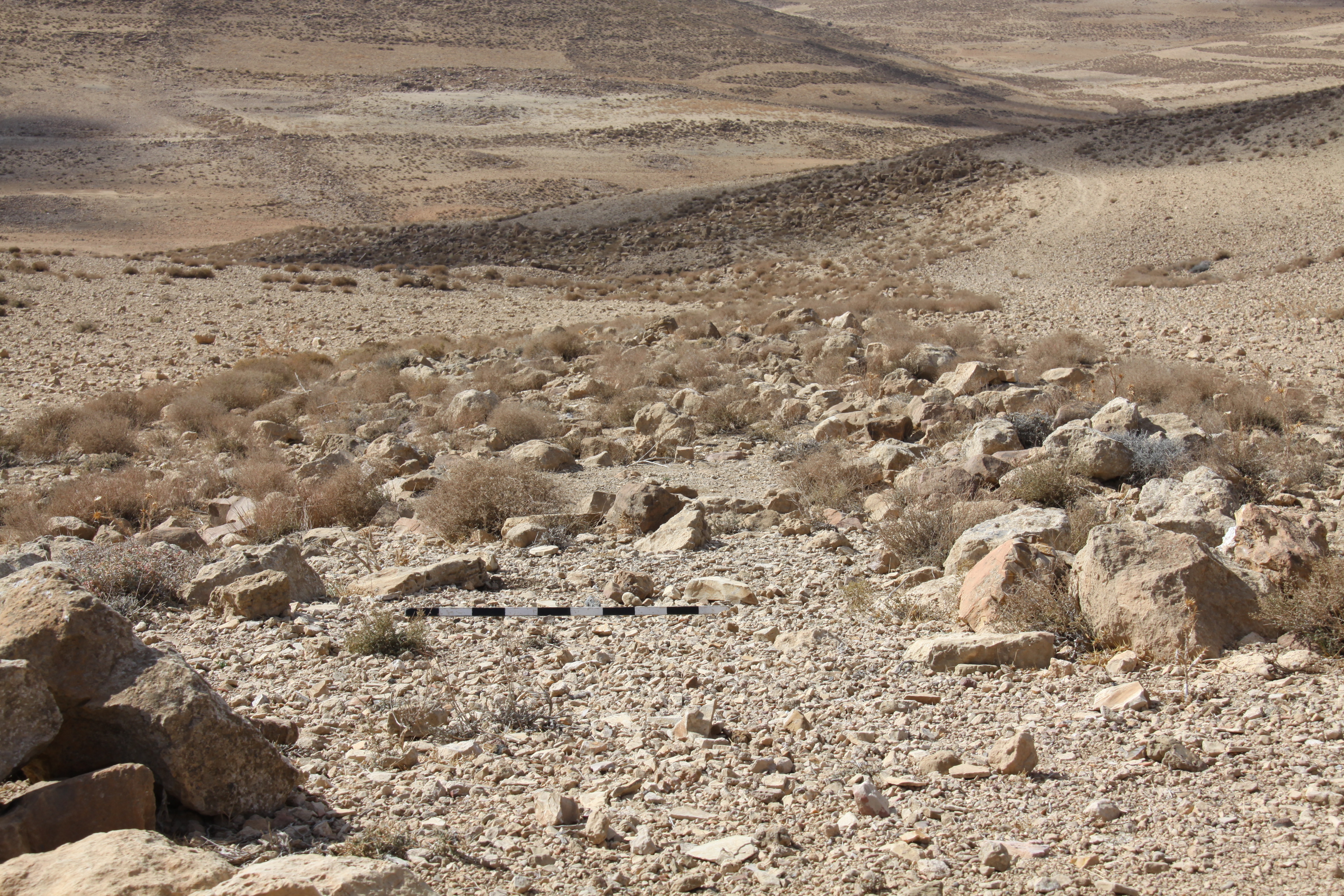 صورة 49