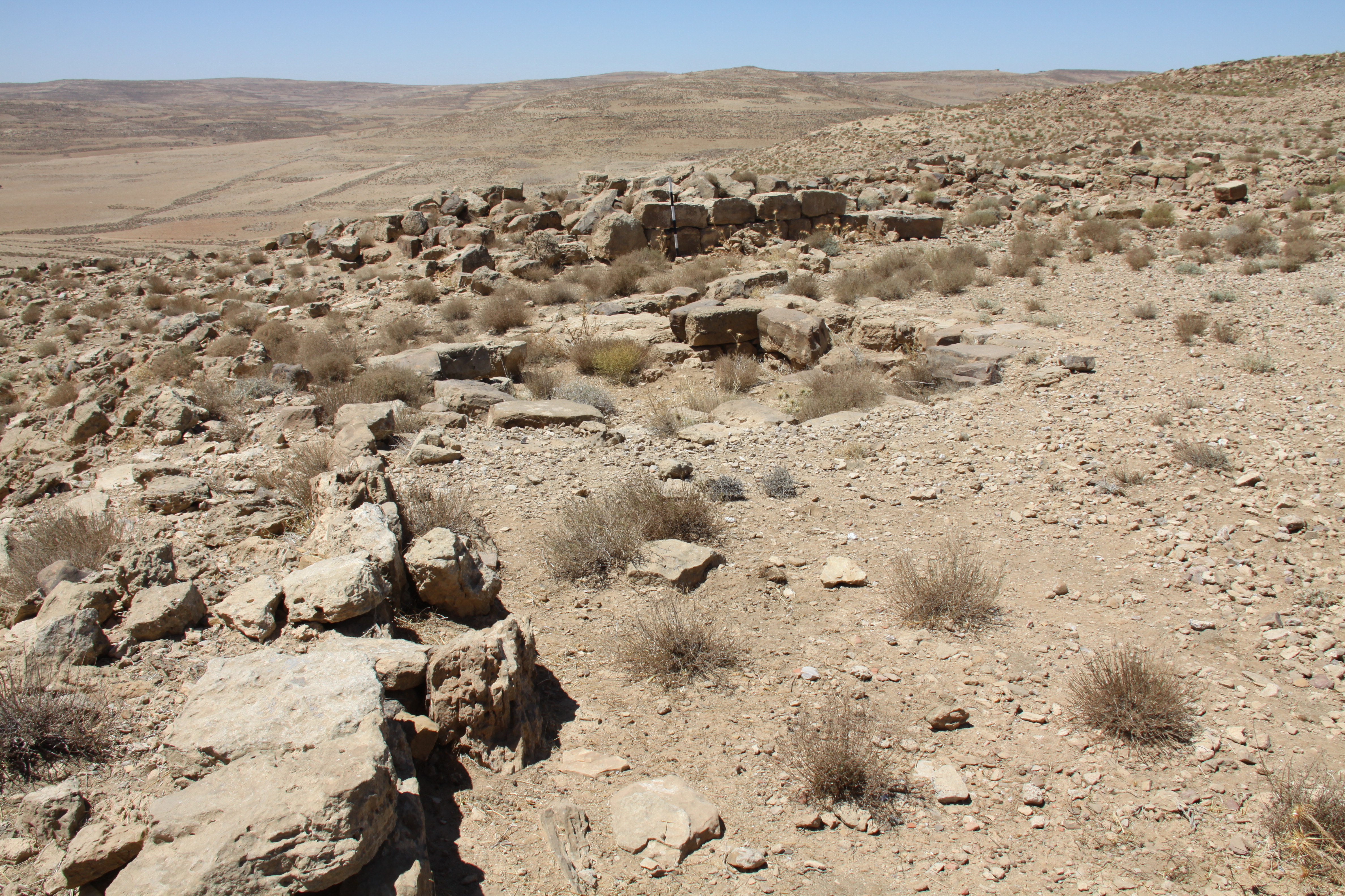 صورة 41