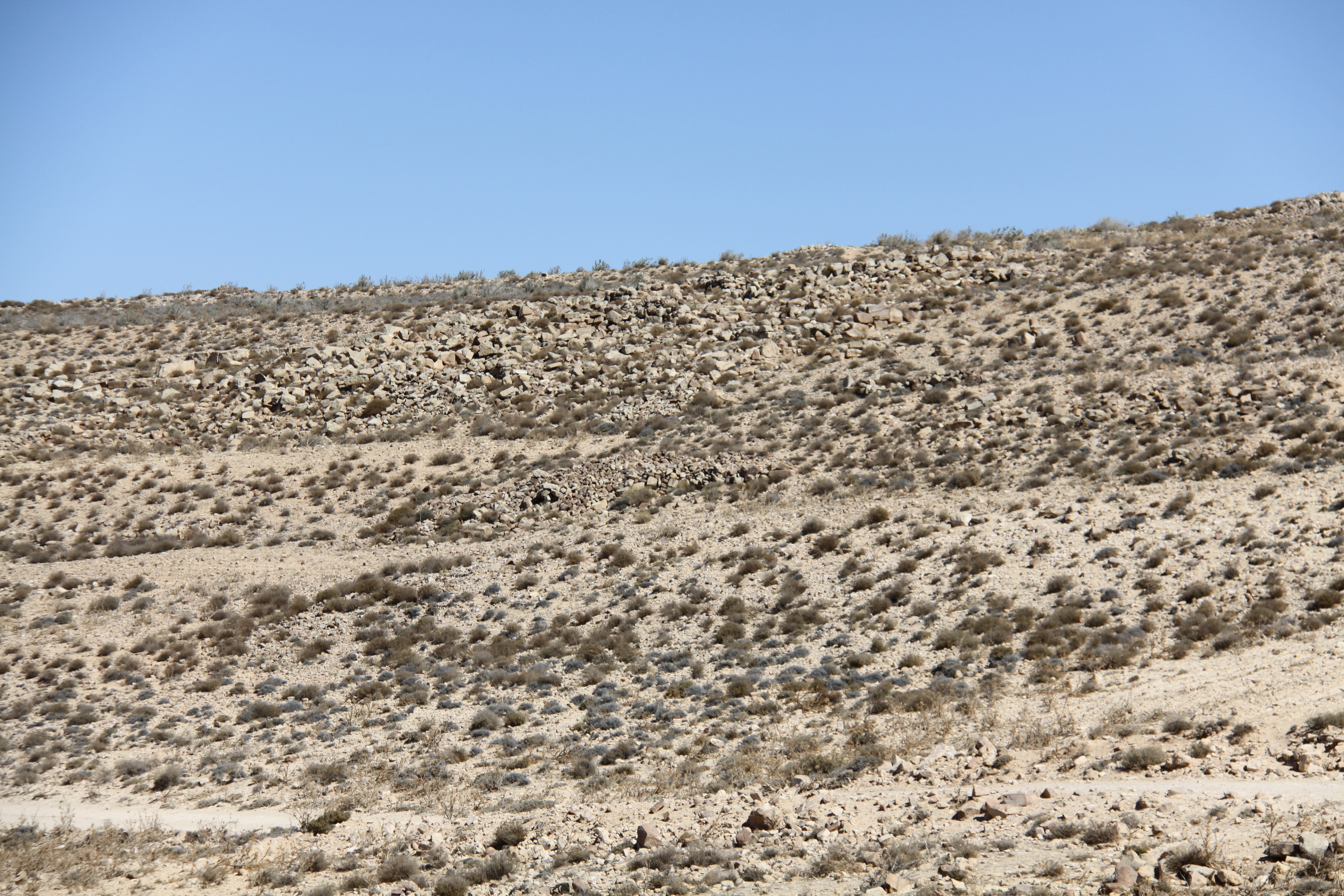 صورة 145