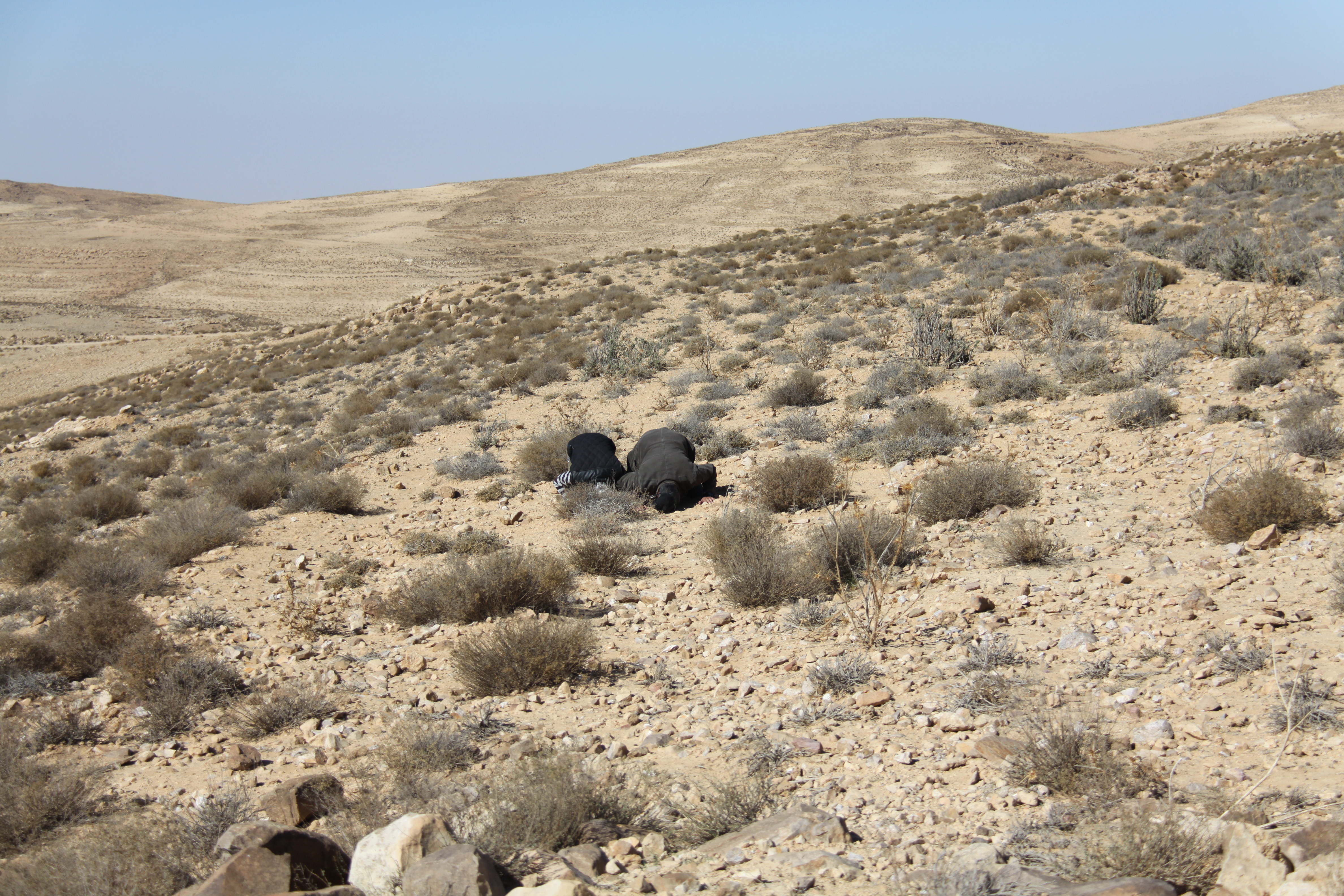 صورة 172