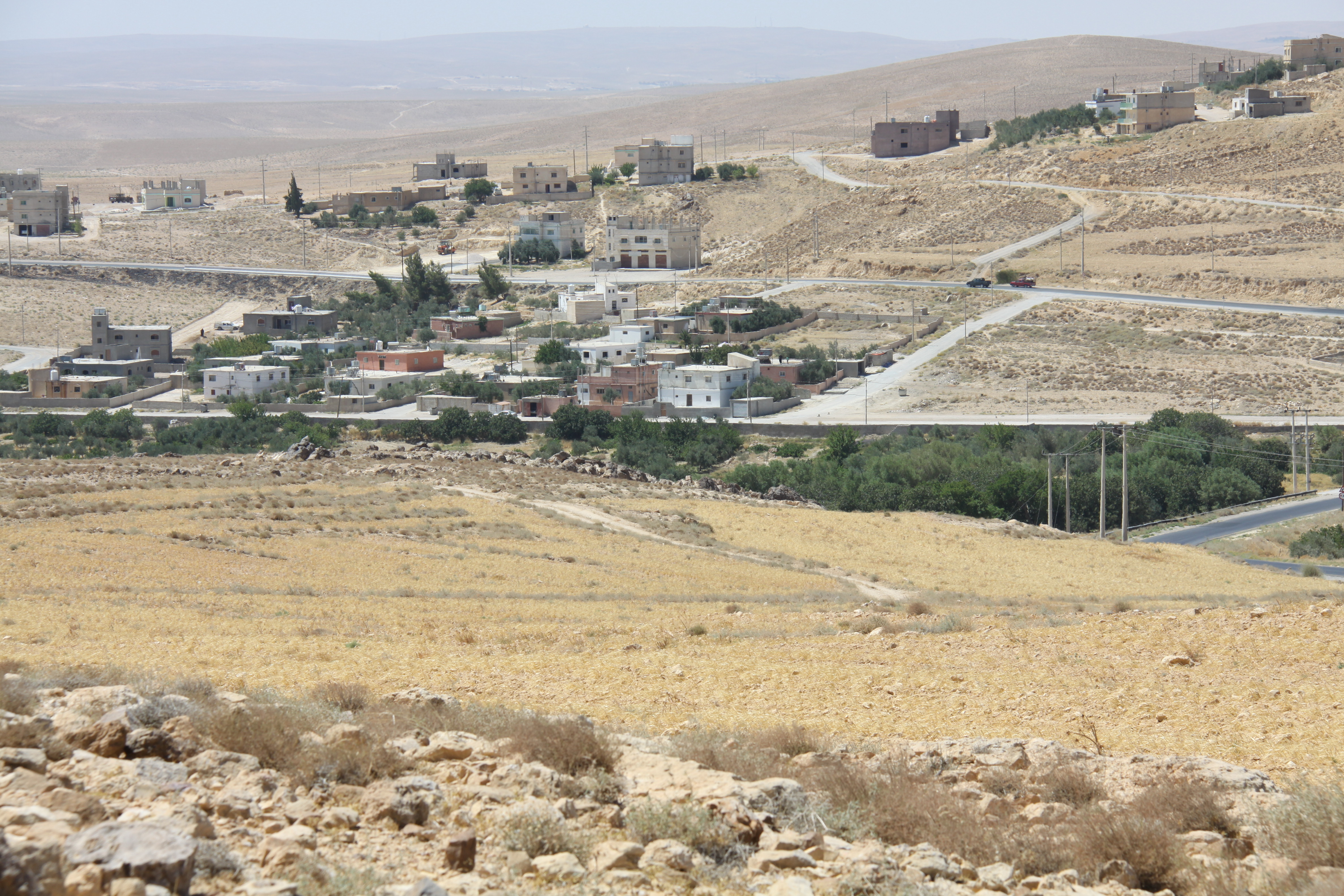 صورة 4