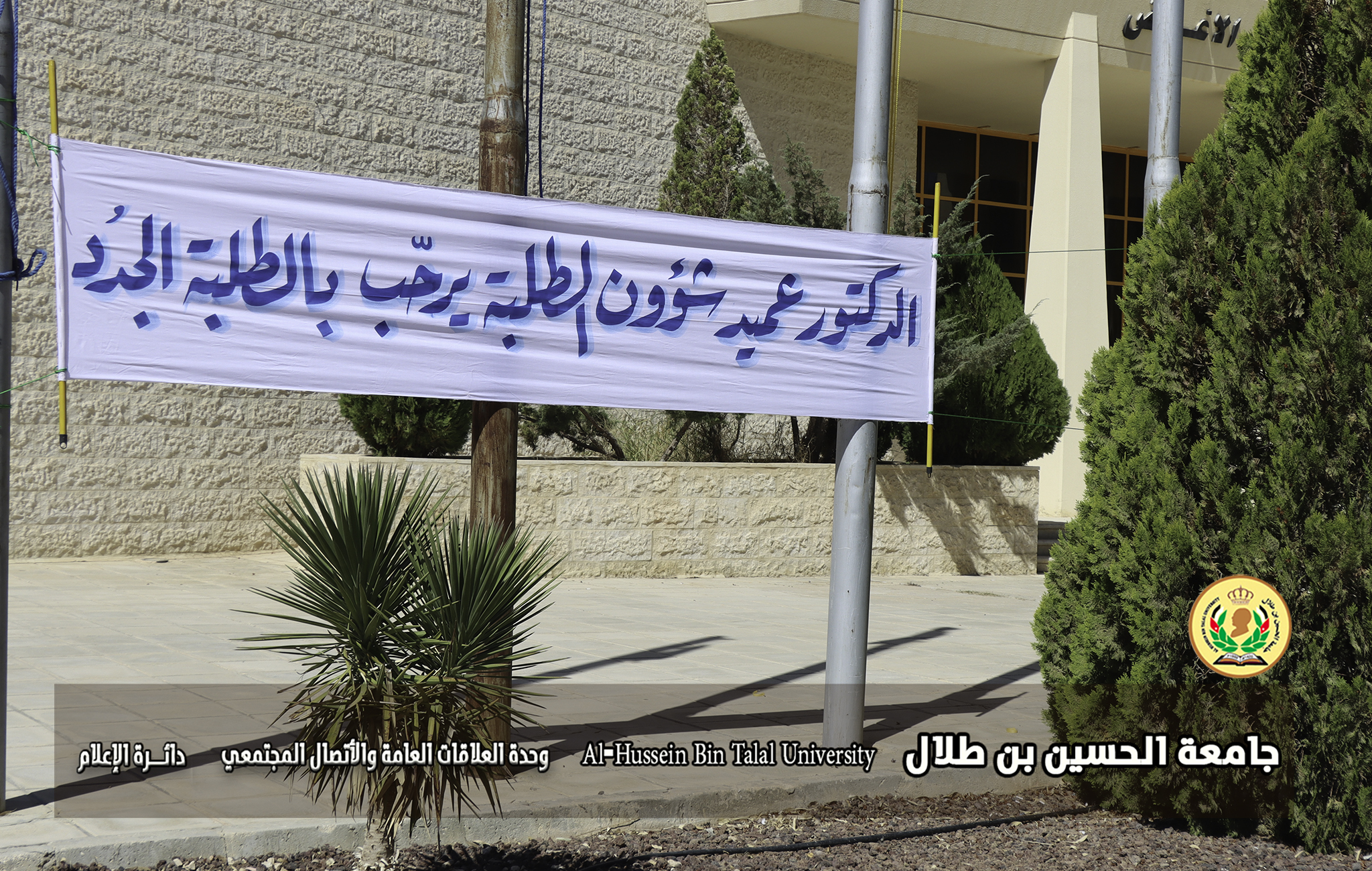 صورة 3