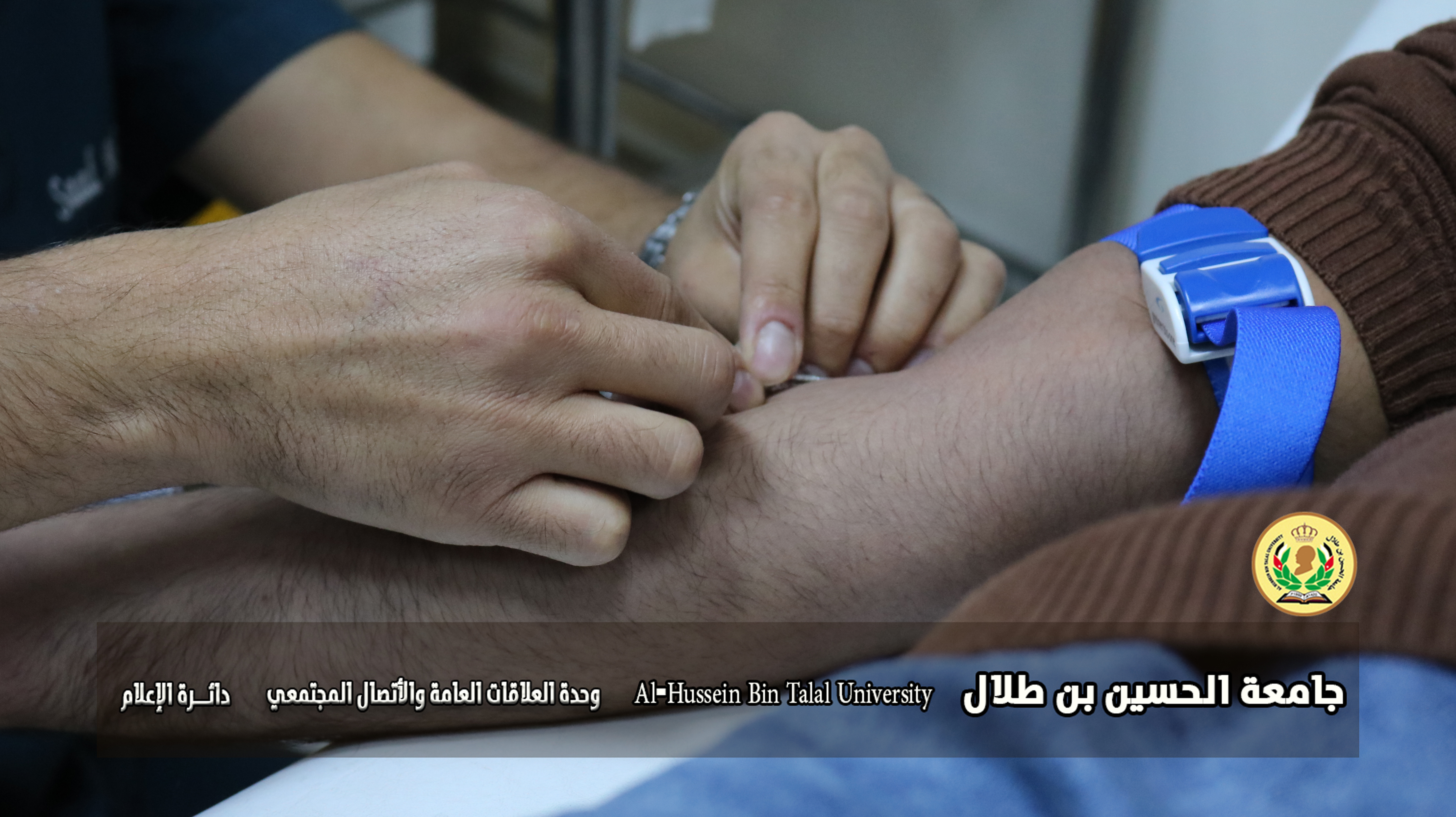 صورة 16