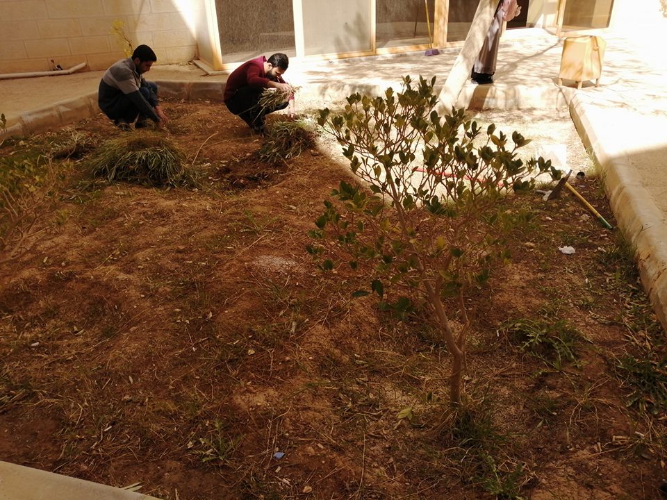 صورة 12