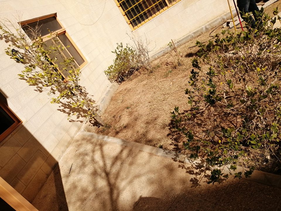 صورة 11