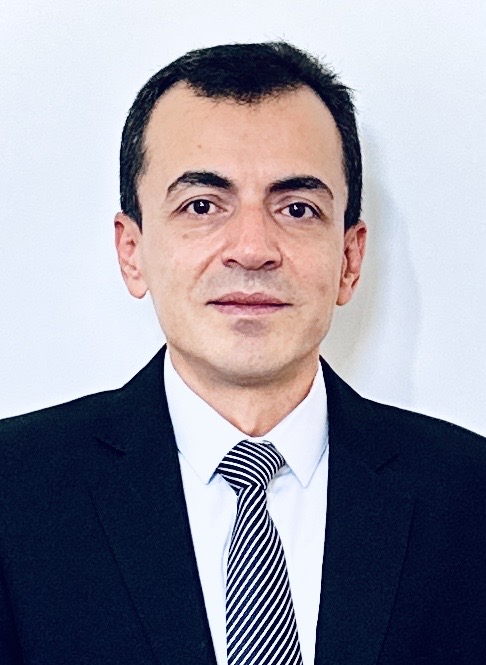 أ.د. محمد احمد نجيب بطيحه